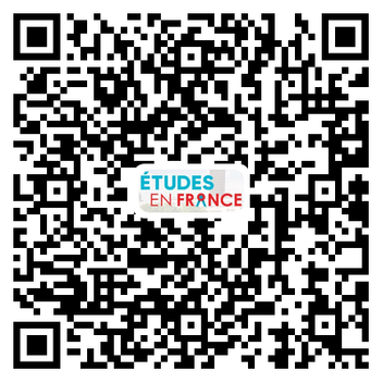 EEF系统是唯一能够汇总我所有申请的系统，并可以把我的材料转交至签证处。